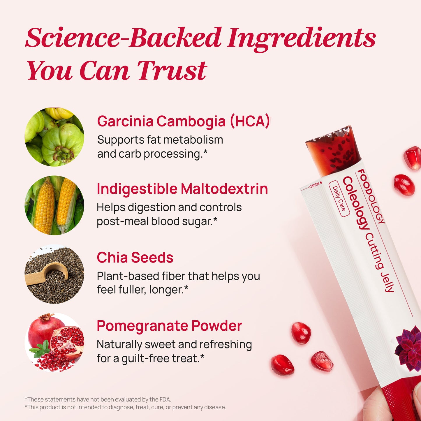 Coleology Cutting Jelly Sticks