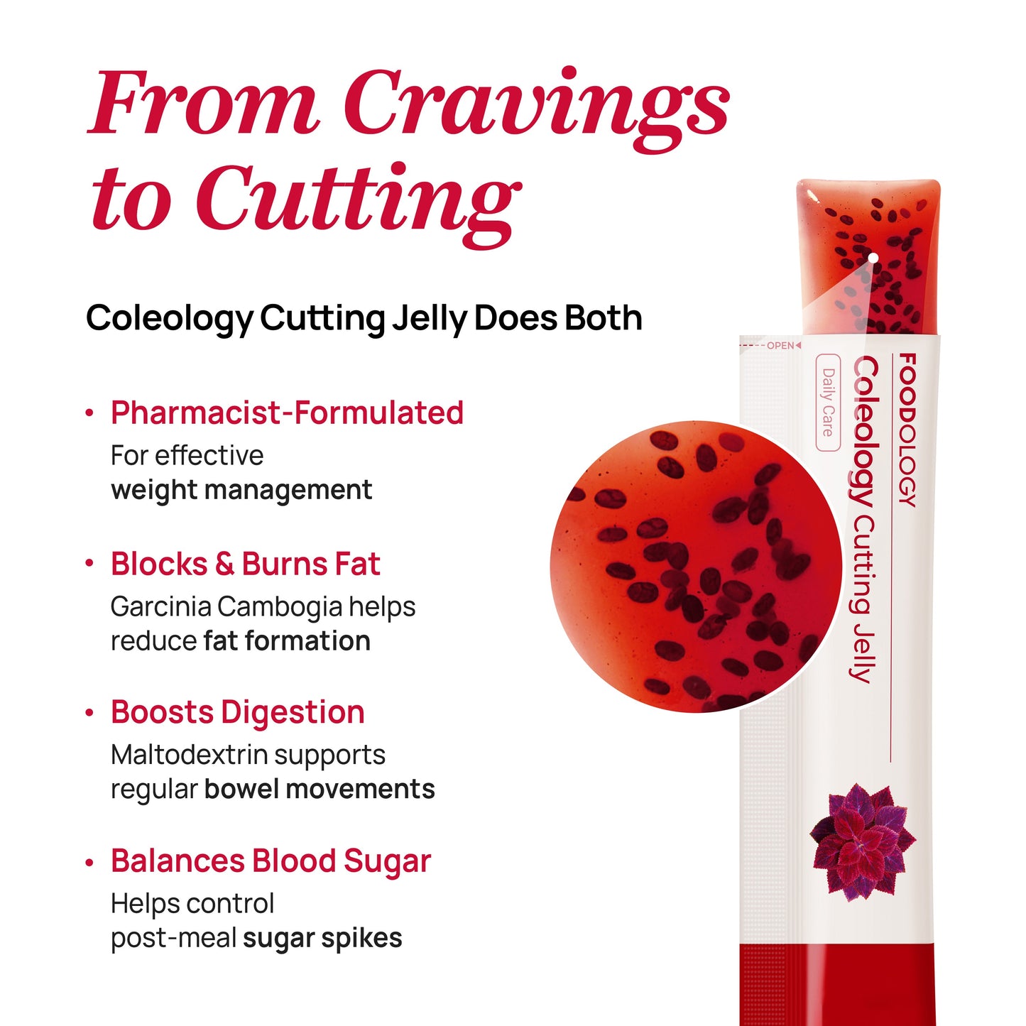 Coleology Cutting Jelly Sticks